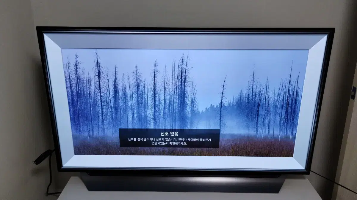 LG OLED55C8CNA TV 스탠드형